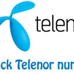 telenor quiz today